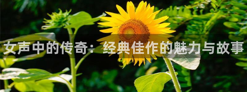 蓝冠娱乐官方登录网址：女声中的传奇：经典佳作的魅力与故事