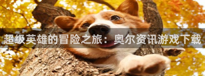 蓝冠娱乐登陆：超级英雄的冒险之旅：奥尔资讯游戏下载