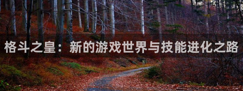 蓝冠娱乐：格斗之皇：新的游戏世界与技能进化之路