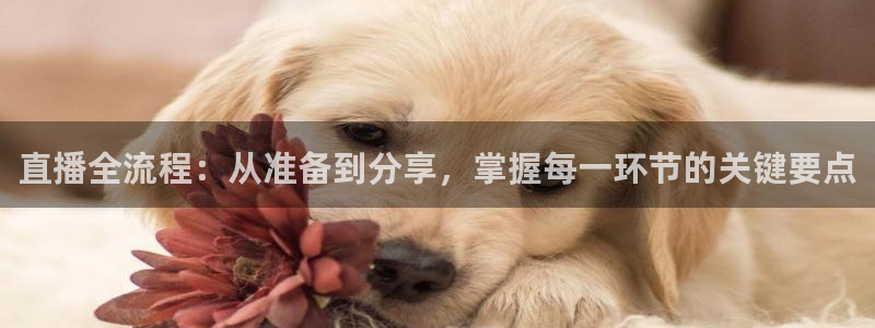 nba直播免费观看直播在线小九直播：直播全流程：从准备到分享，掌握每一环节的关键要点