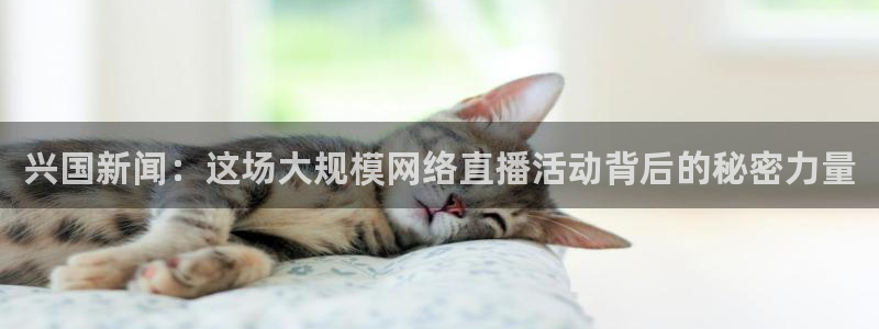 小九直播足球在线直播：兴国新闻：这场大规模网络直播活动背后的秘密力量