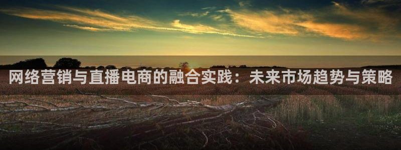 nba赛程直播在线观看视频小九：网络营销与直播电商的融合实践：未来市场趋势与策略