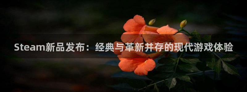蓝冠动力技术(苏州)有限公司