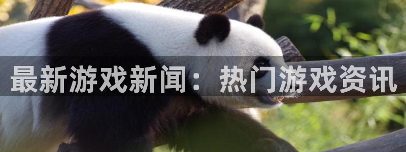 蓝冠口腔门诊怎么样