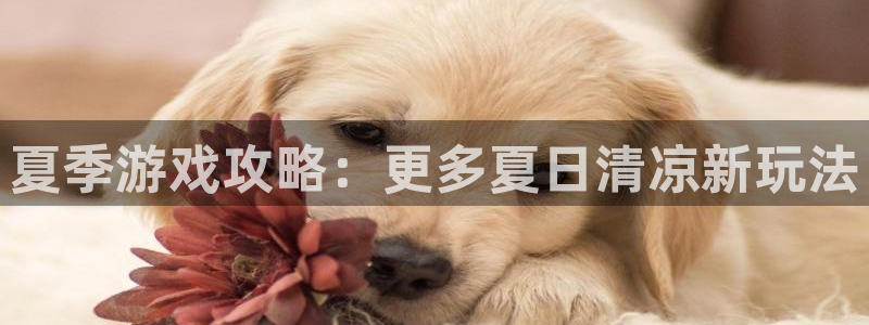 蓝冠官网：夏季游戏攻略：更多夏日清凉新玩法
