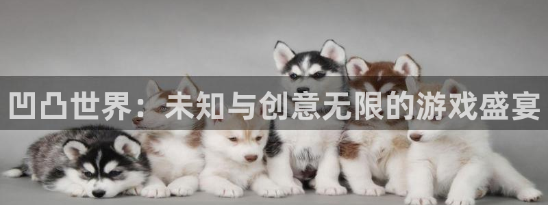 蓝冠电子科技有限公司怎么样啊：凹凸世界：未知与创意无限的游戏