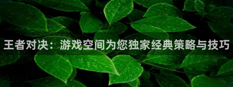 蓝冠娱乐平台登录入口：王者对决：游戏空间为您独家经典策略与技