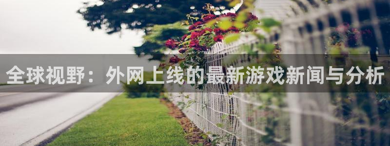 蓝冠娱乐游戏：全球视野：外网上线的最新游戏新闻与分析