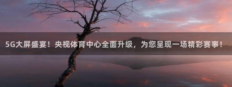 小九nba直播在线观看高清免费：5G大屏盛宴！央视体育中心全面升级，为您呈现一场精彩赛事！