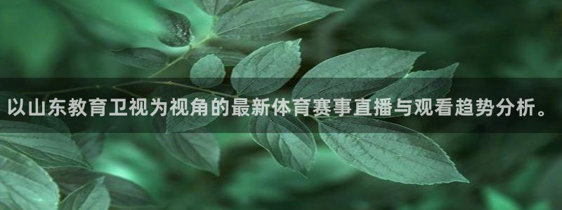 小九直播体育免费直播：以山东教育卫视为视角的最新体育赛事直播与观看趋势分析。