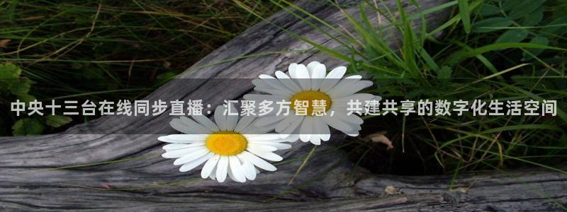 小九足球直播在线观看免费：中央十三台在线同步直播：汇聚多方智慧，共建共享的数字化生活空间