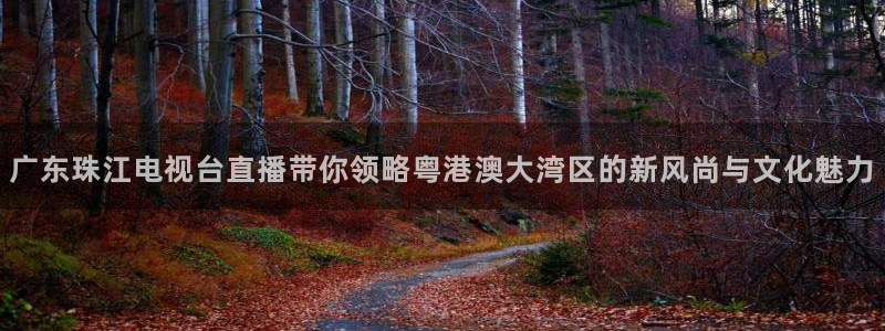 足球直播小九：广东珠江电视台直播带你领略粤港澳大湾区的新风尚与文化魅力