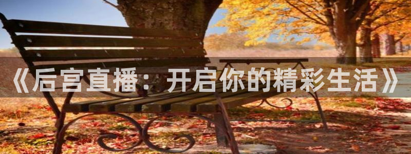 小九直播免费观看：《后宫直播：开启你的精彩生活》