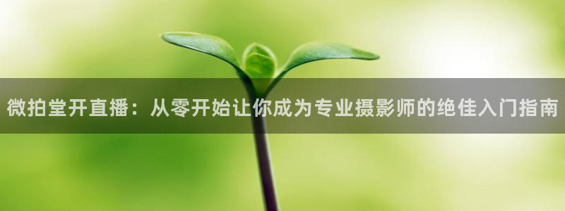 小九体育直播在线观看免费高清：微拍堂开直播：从零开始让你成为专业摄影师的绝佳入门指南
